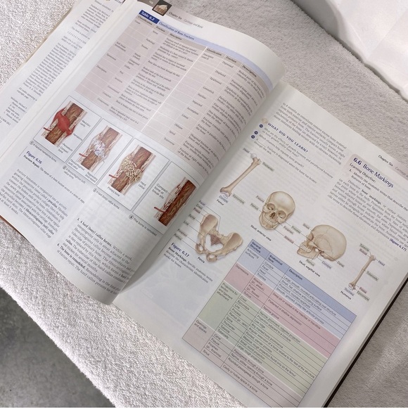 Mckinley O’loughlin Human Anatomy Third Edition Hardcover Textbook - Picture 6 of 11